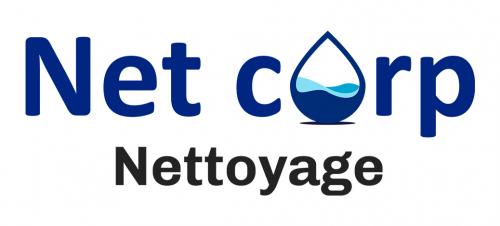Logo de l'entreprise de nettoyage